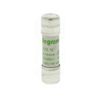 Hengeres biztosítóbetét gG 10x38mm 16A AC500/600V Lexic LEGRAND - 013016
