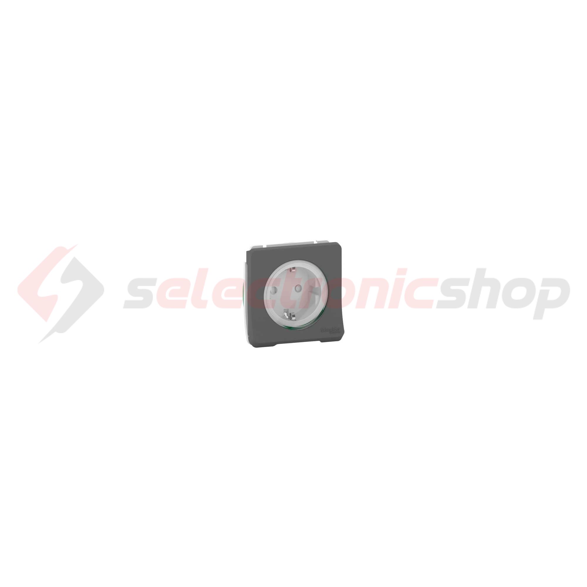 MUREVA Styl 162 dugalj GYV csapófedéllel rugós antracitszürke IP55 falonkívüli Schneider - MUR36134