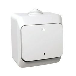 CedarPlus 102 2P kapcsoló betét komplett házban fehér falonkívüli IP44 billentyű/gomb Schneider - WDE000520