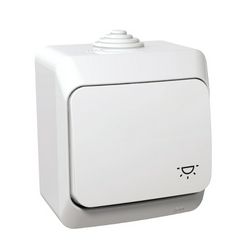 CedarPlus N101 nyomó betét komplett házban 1- billentyűs 1z fehér lámpa IP44 műanyag Schneider - WDE000513