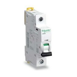 Kismegszakító 1P 2A C-jelleg 230V AC 6kA/60898 Acti9 iK60N Schneider - A9K24102