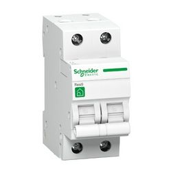Kismegszakító 2P 25A C-jelleg 230V AC 4.5kA/60898 Resi9 F Schneider - R9F14225