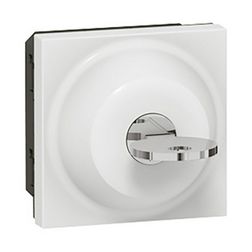 Mosaic 101 1P kapcsoló kulcsos betét közp. fedéllel fehér süllyesztett csavaros IP41 1- LEGRAND - 077072