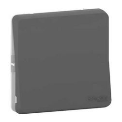 MurevaStyl N101 csengőnyomó betét 1- nyomógomb 1z antracit csengő IP55 címketartó Schneider - MUR35027