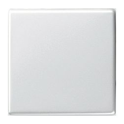 ST55 billentyű egyes kapcs/nyg.-hoz fehér üres-jel IP20 műanyag fényes kapocs GIRA - 029603