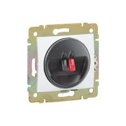 Valena hangszóró csatlakozó betét közp. fedéllel monó műanyag fehér címketartó nélkül LEGRAND - 774223