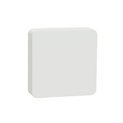 Wiser hő-/páraérzékelő WiFi multifunkcionális érzékelő falonkívüli fehér IP20 Schneider - CCT593011