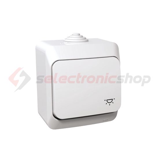 CedarPlus N101 nyomó betét komplett házban 1- billentyűs 1z fehér lámpa IP44 műanyag Schneider - WDE000513