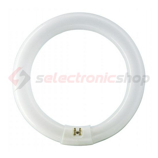 Fénycső általános-hez T9 G10q 40W 3100lm 865 13000h fehér A-en.o. TL-E 40W/865 1CT/12 Philips - 928027486570