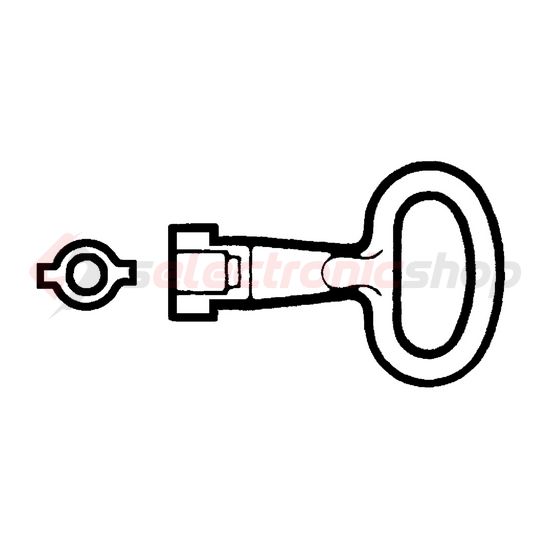 Kulcs 5mm CRN-hez kéttollú Spacial/Thalassa Schneider - NSYLDB5