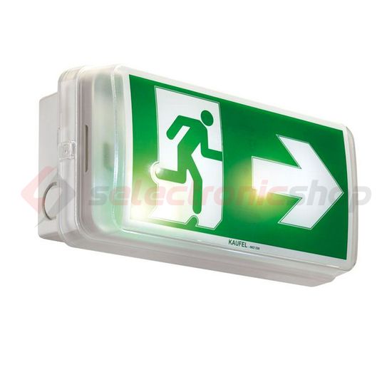 LED vészvilágító állandó/készenléti 1W 220-240V AC fali 110lm-vész IP65 XT100E ABB - 7TCA091160R0499