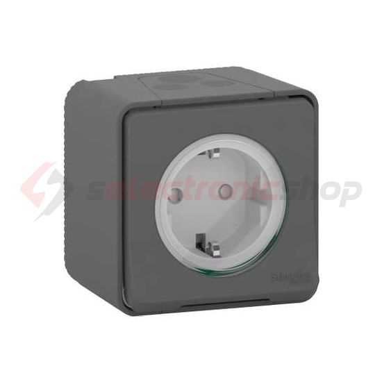 MurevaStyl 162 dugalj csapófedéllel gyerekzárral szürke IP65 falon kívüli rugós Schneider - MUR36034