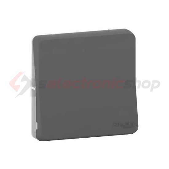 MurevaStyl N101 csengőnyomó betét 1- nyomógomb 1z antracit csengő IP55 címketartó Schneider - MUR35027